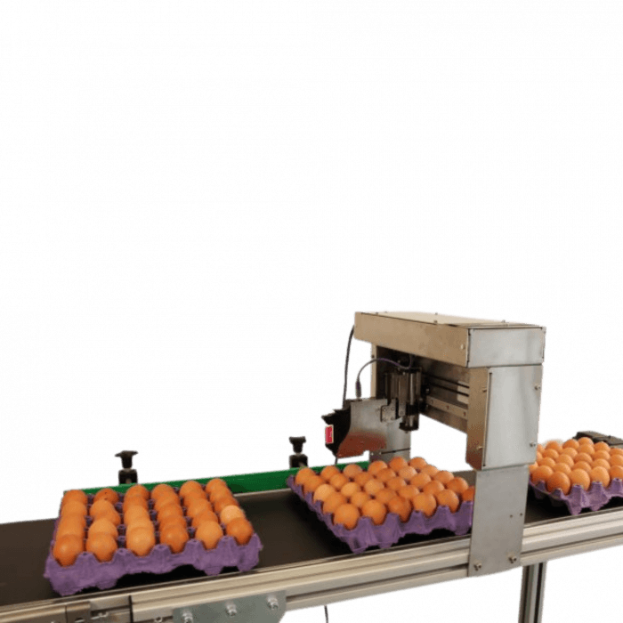 EP-121 Egg Coding Machine