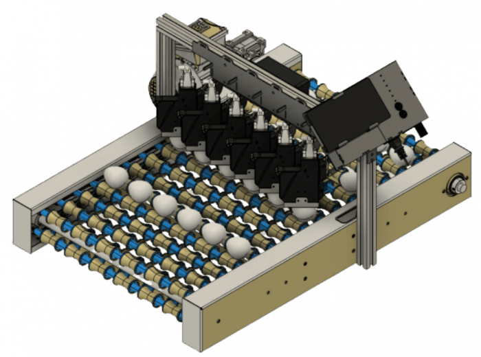 EkoPrint G12 Egg Coding Machine on Grader