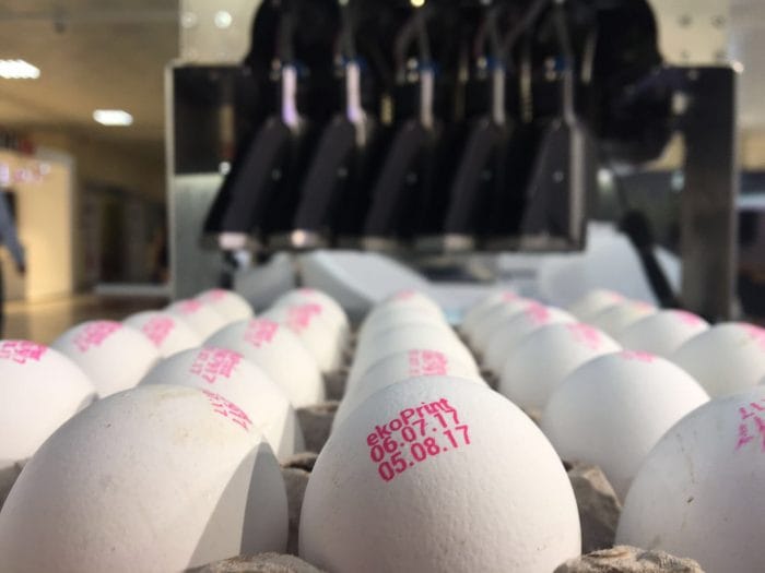 EkoPrint EP-205 Egg Coding Machine - Görsel 4