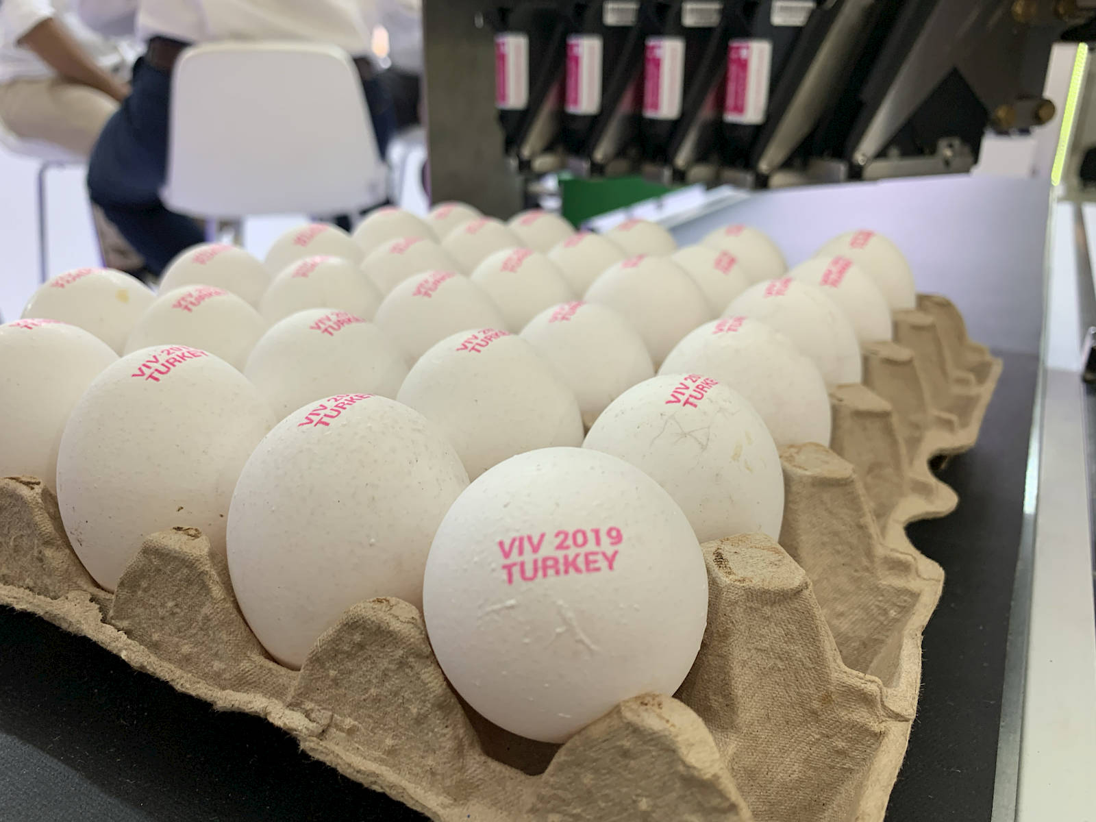 egg coding inkjet egg coding inkjet